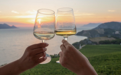 Entusiastas do vinho da  Croácia anunciam o primeiro dia internacional do Pošip